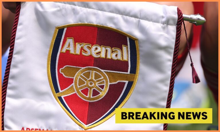 Arsenal Complete Deal to Sign Cardiff City Talent Axel Donczew