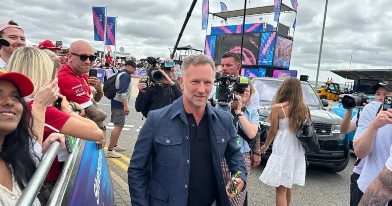 FIA President Ben Sulayem Supports Christian Horner's F1 Return