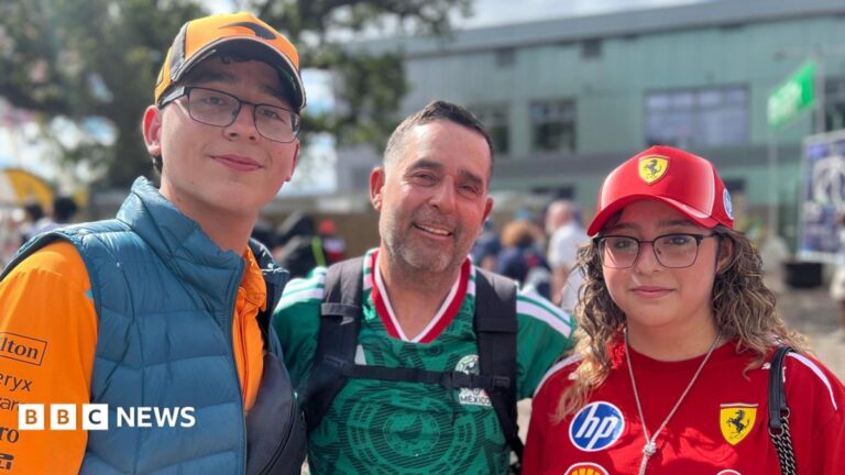 Formula 1 Fans Celebrate Successful Return of British Grand Prix