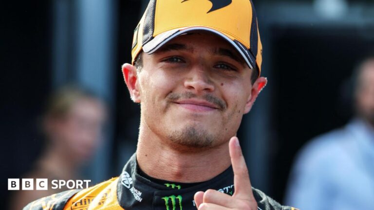 Lando Norris Takes First Season Pole, Edging Lewis Hamilton in Hungary