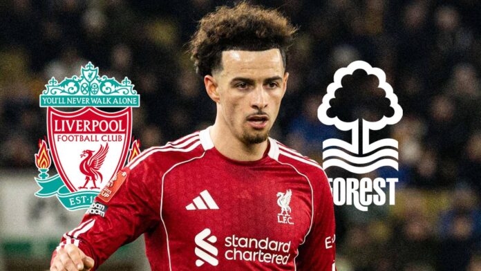 Liverpool Demand £40m from Nottingham Forest for Curtis Jones