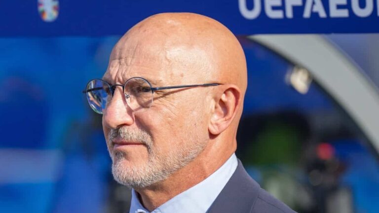 Spain Coach De la Fuente Calls Team 'Best in the World' After Semi-Final Win