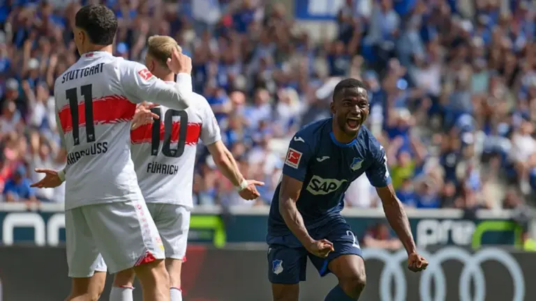 Toure Set for Success at Newcastle After Impressing at Hoffenheim