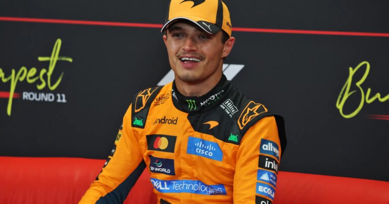 Lando Norris Discusses Need to Adapt Driving Style Every Season