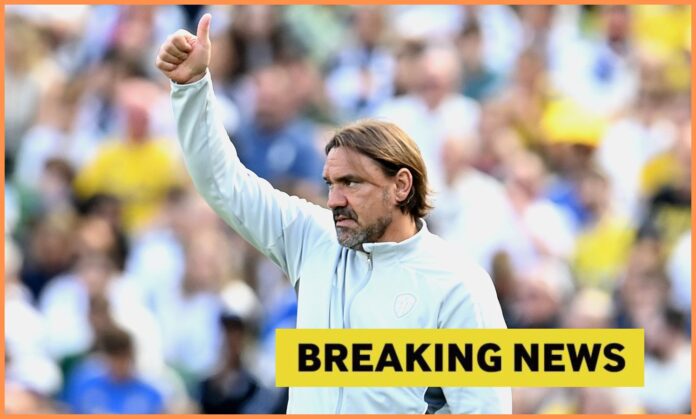 Leeds United Eye Five New Signings as Daniel Farke Plans Overhaul