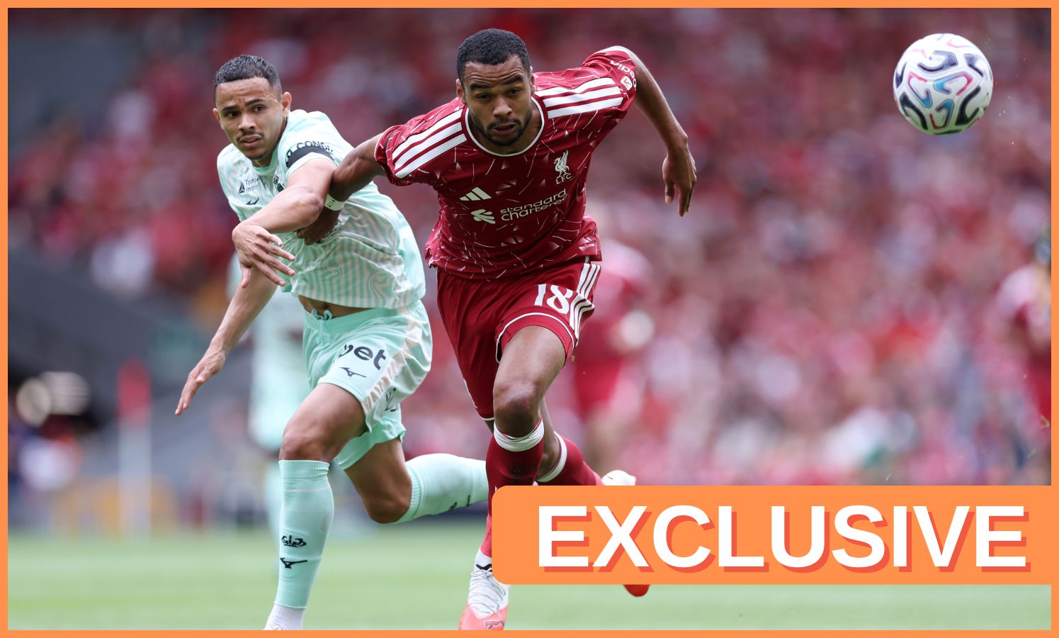 Tottenham Eye Cody Gakpo Transfer While Advancing on Savinho Deal
