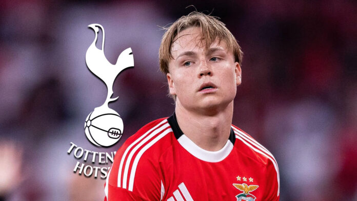 Tottenham Submit €55m Offer for Benfica Winger Andreas Schjelderup